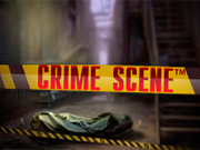 Crime Scene игровой аппарат