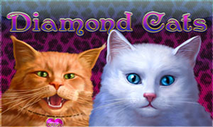 Diamond cats